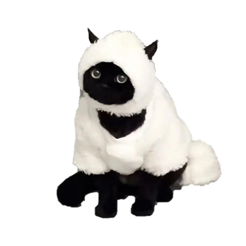 Cosplay Pecora Vestiti Gatto Fantasia Divertente Outfit Gatto Felpe Costume Animale Domestico Chat Travestimento Maglione Animali Accessori