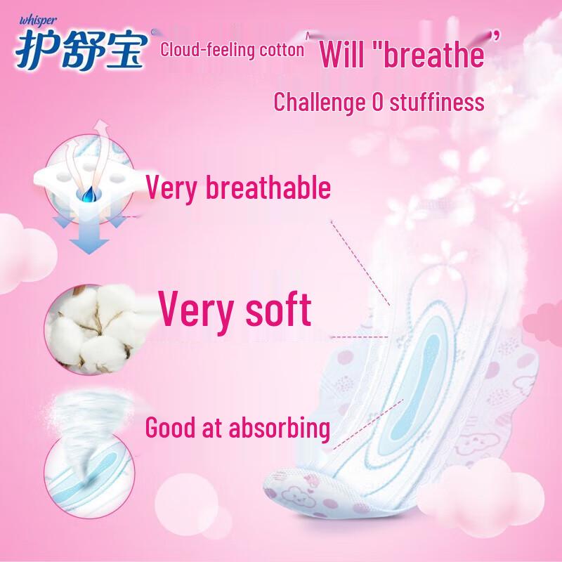 Safeguard Antibakterielle Handwäsche & Damenbinden Bündel