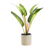 For Indoor Space Creative Design Artificial Plant Artistic Presentation 31*8*8cm Creative Design Bonsai Ornament