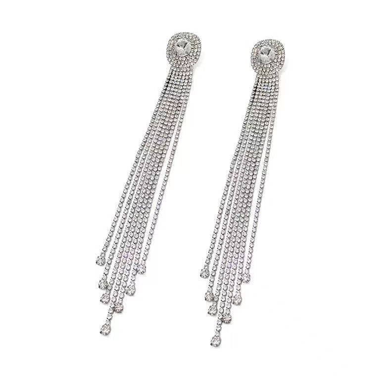 Gentle Temperament Long Earrings Exquisite Simple Niche Earrings Versatile Micro Diamond Fringed High-End Earrings
