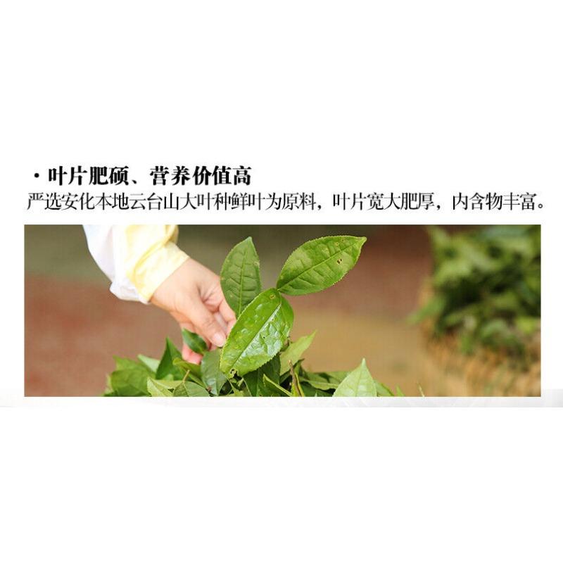 Чай BAISHAXI Straight Foam Brick Anhua Golden Flowers Fucha Dark Tea 240g Brick — фото 6