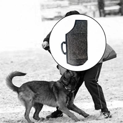 Köpek – Eğitim ve Öğretim Araçları