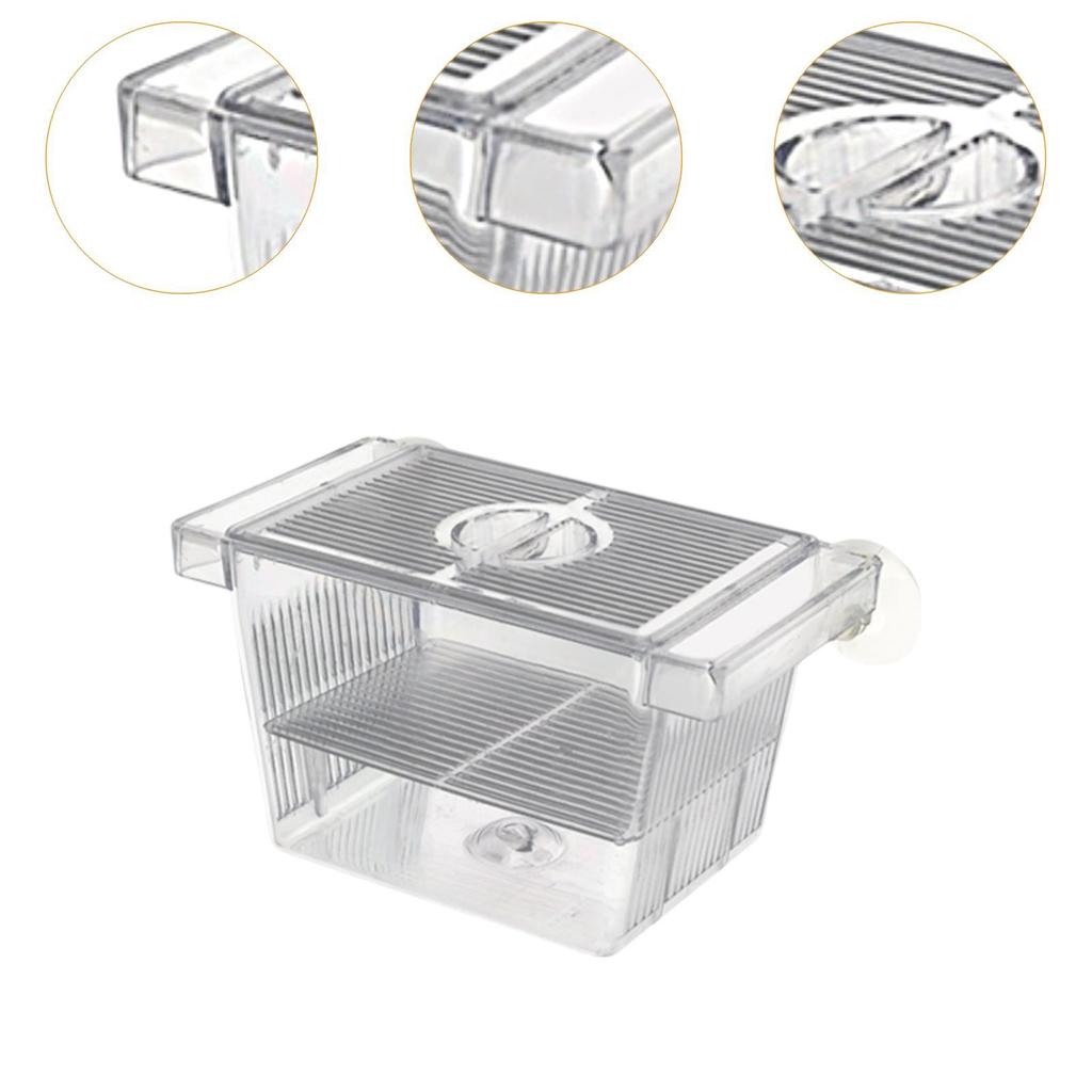 Breeding Box Separator Tank Hatchery for Shrimp Clownfish Guppy