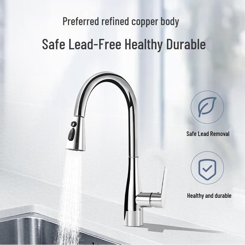 Kitchen Faucet with Pull-Out Sprayer