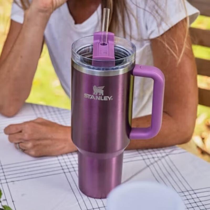 

Stanley Adventure Series H2.0 Vacuum Straw Cup