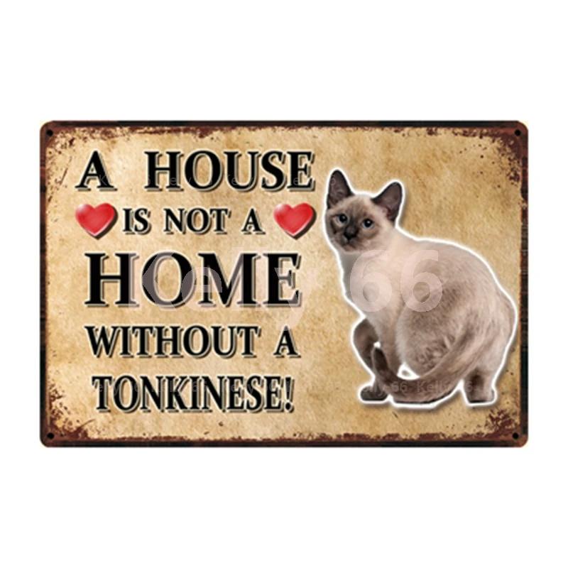 [ Kelly66 ] Pets Cat Bombay Siamese Burmese Birman Abyssinian Metal Sign Home Decor Bar Wall Art Painting 20*30 CM Size Dy147