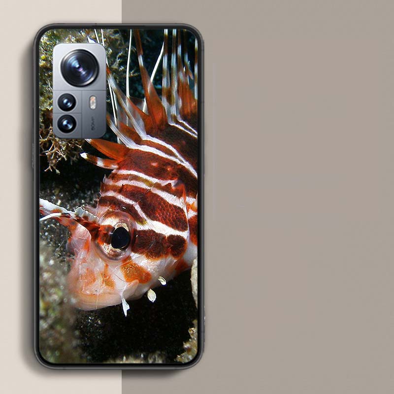

Clown Fish in the Sea or Ocean Phone Case For Redmi Note 15 Pro 5G 14 13 12 Pro Plus 11 11T 11E 11S 10 Pro 10S 9 9S Cover Cell C Redmi Note 12 Pro 5G