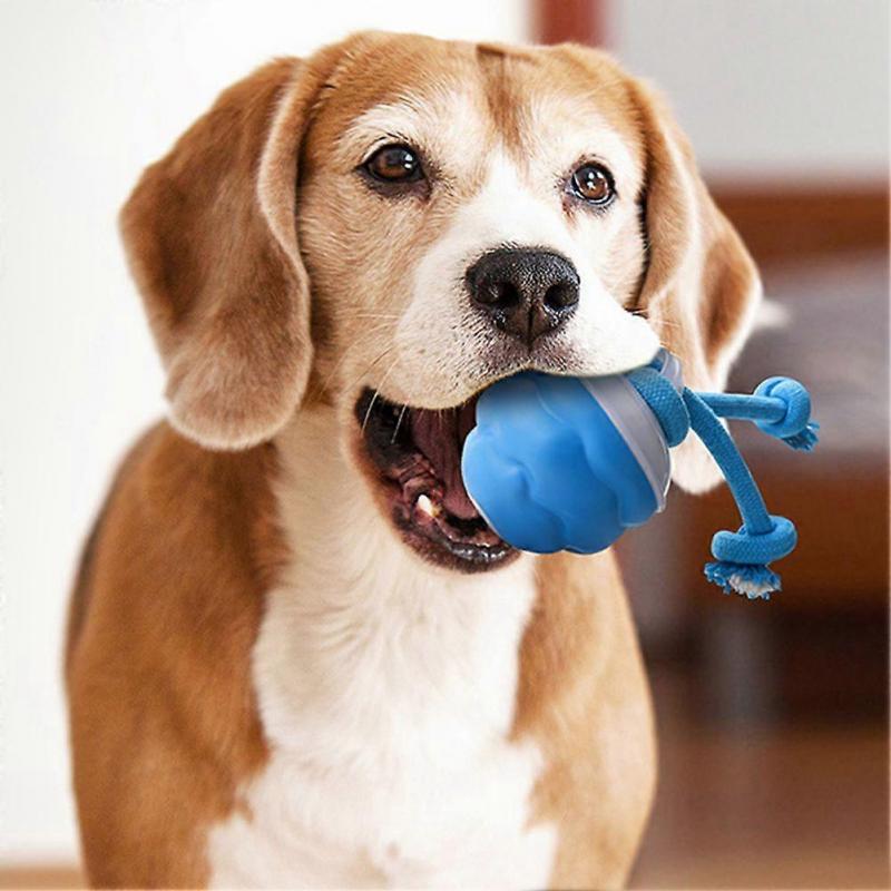 Automatic Rolling Dog Toy Ball Rechargeable Interactive Pet Toy Chew-Proof & Motion-Activated Dog Ball