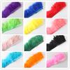 Feather2 Meter Fluffy Marabou Feathers Trim Fringe Wedding Dress Turkey Feather Ribbon Plumes Carnival Accessories Decorative Crafts