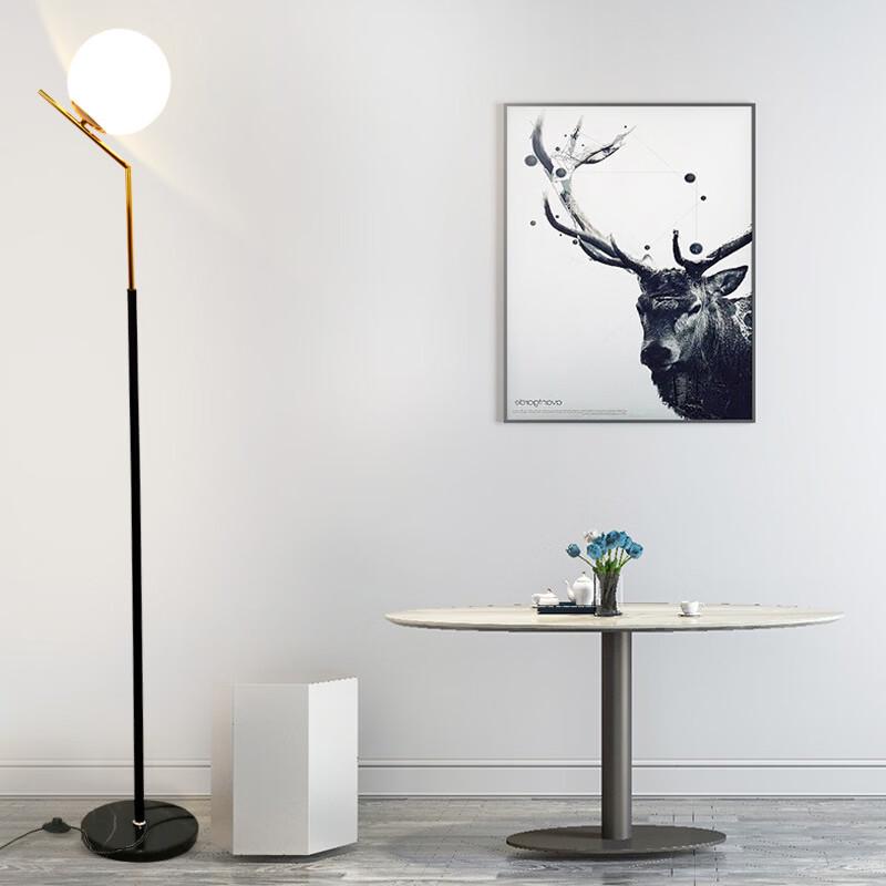 Nordic American Style Floor Lamp