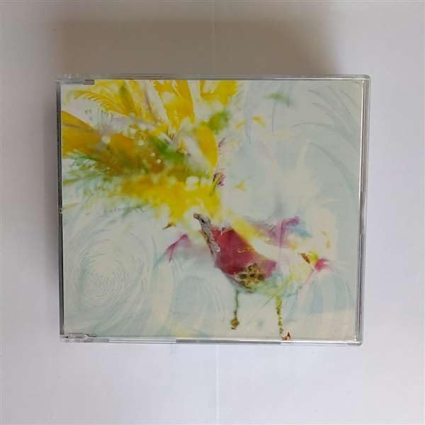 

CD KAMI HIROSE - Hizukehenkousen VICL35719 Japan ObiJapanese Pop/Rock Used