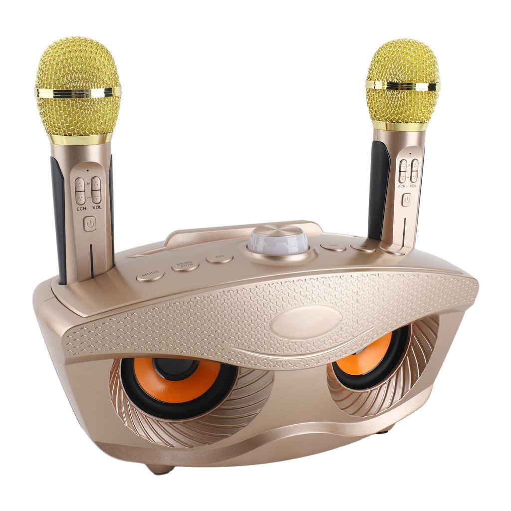 Speaker Home KTV Karaoke   Speaker with Two Microphone (Black)