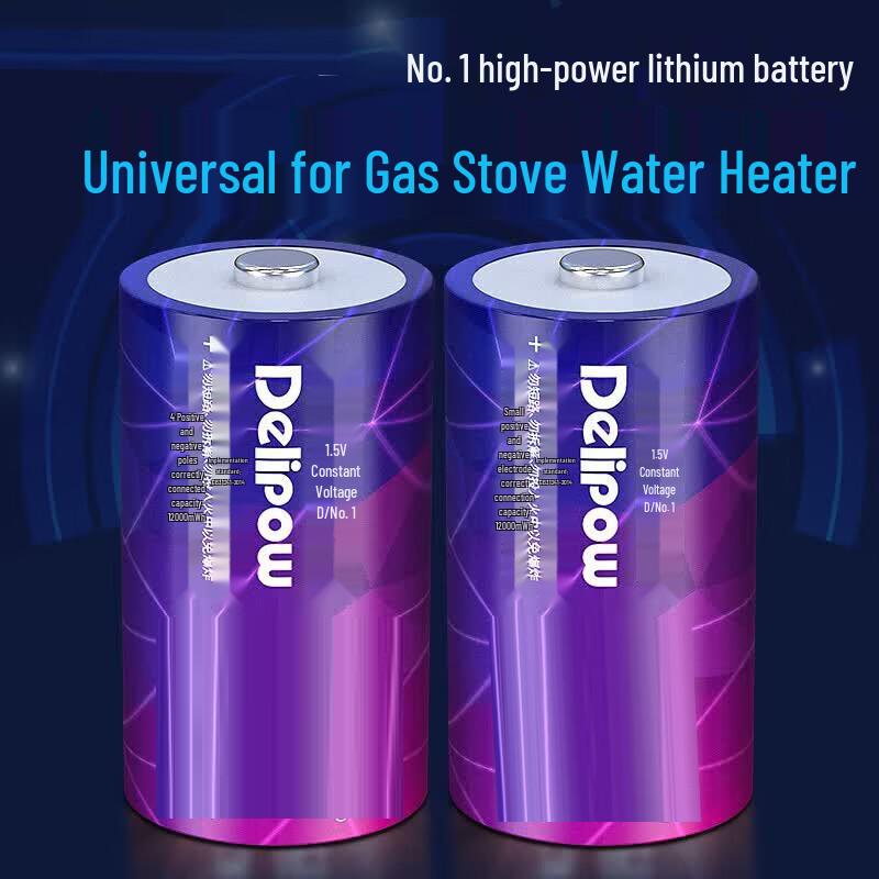 SKG D-Type 1.5V Rechargeable Lithium Battery & Charger Set