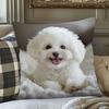 Cute White Puppy Pillow  Cushion Cover Pc  Fluffy Dog Photo with Tongue Out Pet Lover Gift for Sofa or Bed Decor
