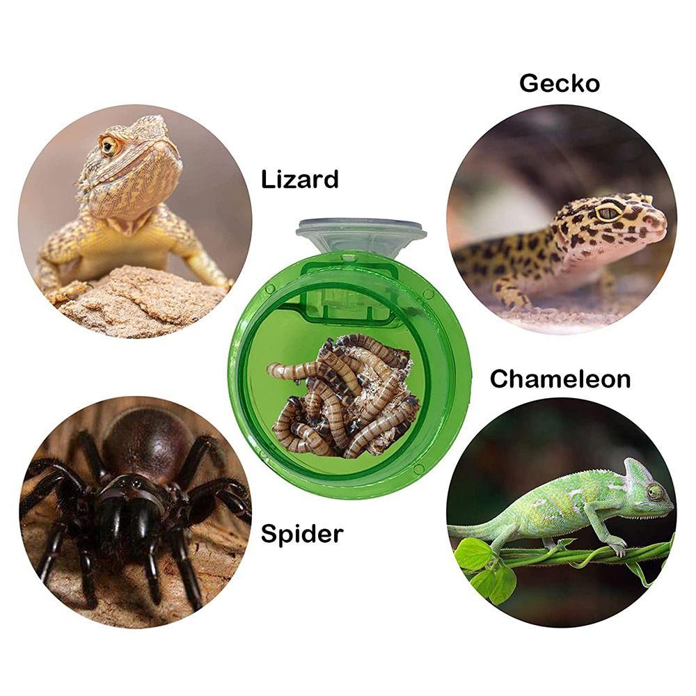 Dragon Suction Cup Ledge Accessories Food Container Reptile Feeding Dish Feeder Plate Worm Bowl