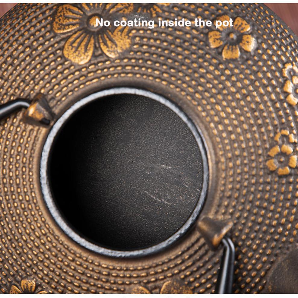 ENERGE SPRING 800ML Cast Iron Teapot Japanese-style Boiling Kettle Beauty Health Pig Iron Boiling Water Pot Retro Tea Set