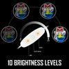 Fortune Cat Ramen Neon Sign Cat Neon Sign Dimmable Japanese Noodles Led Neon Signs for Wall Decor Anime Light Up Signs Neon Lights for Bedroom Store