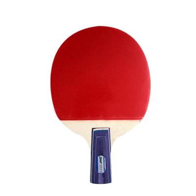 Tischtennis – Tischtennis-Schläger