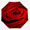 1PC Rose Flower Automatic Open/Close Umbrella with Windproof, 8-Rib Sturdy Canopy, Durable Ribs, Fashionable Design, 1302a