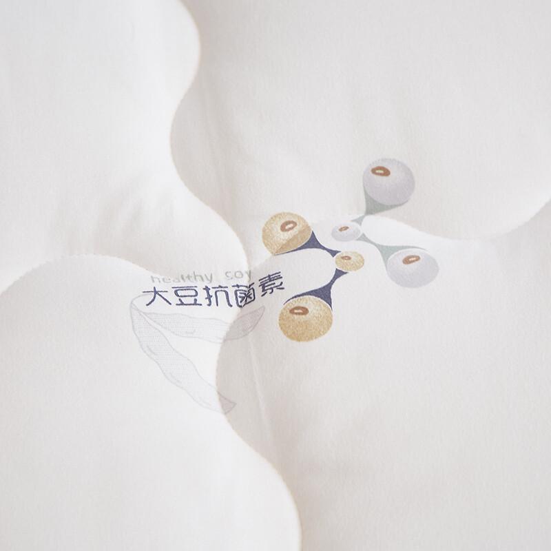 All-Season Soybean Fiber Blend Comfort Quilt