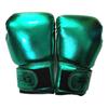 Sagitar Children's Boxing Gloves with Metal Film and Sponge Foam Liner for Sanda and Punching Bags.
