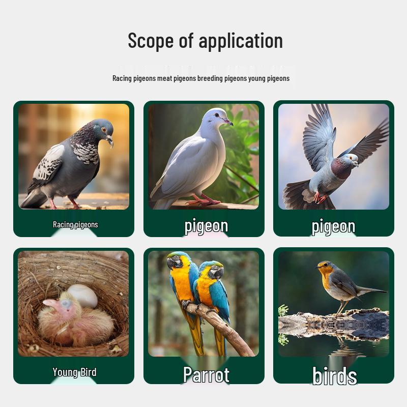 Polvere per la Salute Tricomoniasi dei Piccioni per Piccioni Viaggiatori e da Carne, Pappagalli