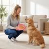 Pet Slow Feeder Mat for Dogs with Suction Cup Base Non-Slip Feeding Pad for Slowing Down Eating and Promoting Healthy Digestion