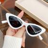 Kid Retro Cat Eye Beach Summer Sunglasses