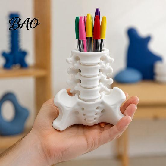 Realistic Pelvis Base Simulated Spine Pen Holder, Creative Skeleton Desktop Organizer, Durable Organizer PLA 3D Printed Anatomy Ornament for