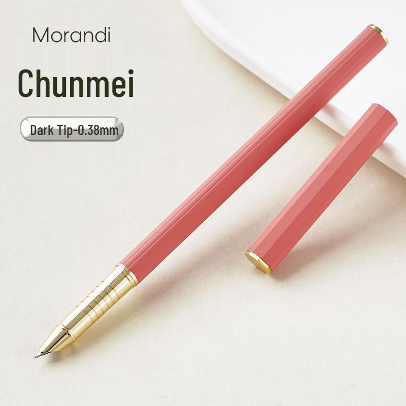 Children's Fine Nib Fountain Pen Set with Engravable Option, Includes Replaceable Ink Cartridges for Student Calligraphy Practice.