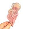 Korean Style Cartoon Animal Hair Clip Sweet Cute Shark Clip Fashion Jellyfish Hair Claw  Female