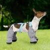 Dog Boot Waterproof Leggings Paw Protection Dog Snow Boots Winter Dirty-Proof Conjoined Body Pet Outdoor Walking Dog Accessories