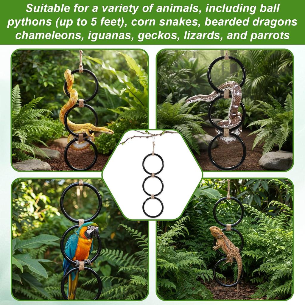 Snake Climbing Rings, Ball Python Tank Accessories, Reptile Enrichment Toys, Corn Snake Playground Climbing Toy for Bearded