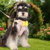 Adjustable Dog Bow Harness Splicing Dog Cooling Vest Cute Dog Leash  Pet Walking Training