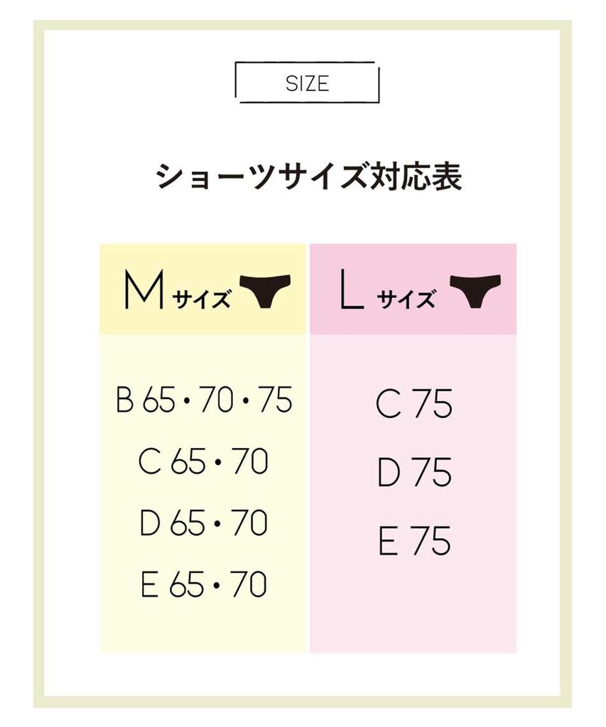 Bra and Panty Set for Naturally Fuller Busts Panty Bra BCC231 GY D65 Amphi/Wacoal [Bra & Set] Women's