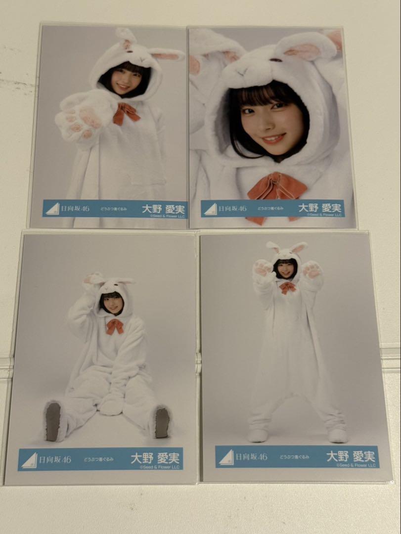 

[USED] Hinatazaka46 Aimi Ohno Animal Costume Photo