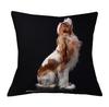 Cavalier King Charles Spaniel 45X45Cm Pillowcase Bedroom Sofa Home Decor