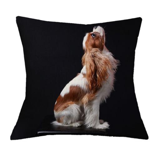 Cavalier King Charles Spaniel 45X45Cm Pillowcase Bedroom Sofa Home Decor