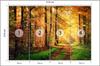 Photomural Forest Autumn Colours Self-Adhesive Mural 315x210