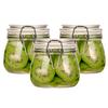 BDHD 3-Pack Large Capacity Airtight Glass Food Storage Jars, Perfect for Preserving Pickles, Fruit Honey, and More, Including Plum Wine, Fruit Wine, C