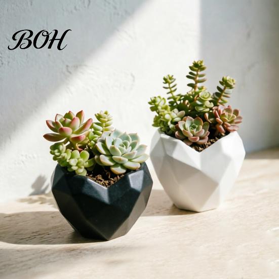 Fun Shaped Flower Pot Geometric Heart Shape Flowerpot, Decorative for Indoor Charming Plant Container Outdoor, Creative Love Planter Home Garden