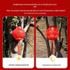 Solar Peony Lantern Outdoor Hanging Lamp Set