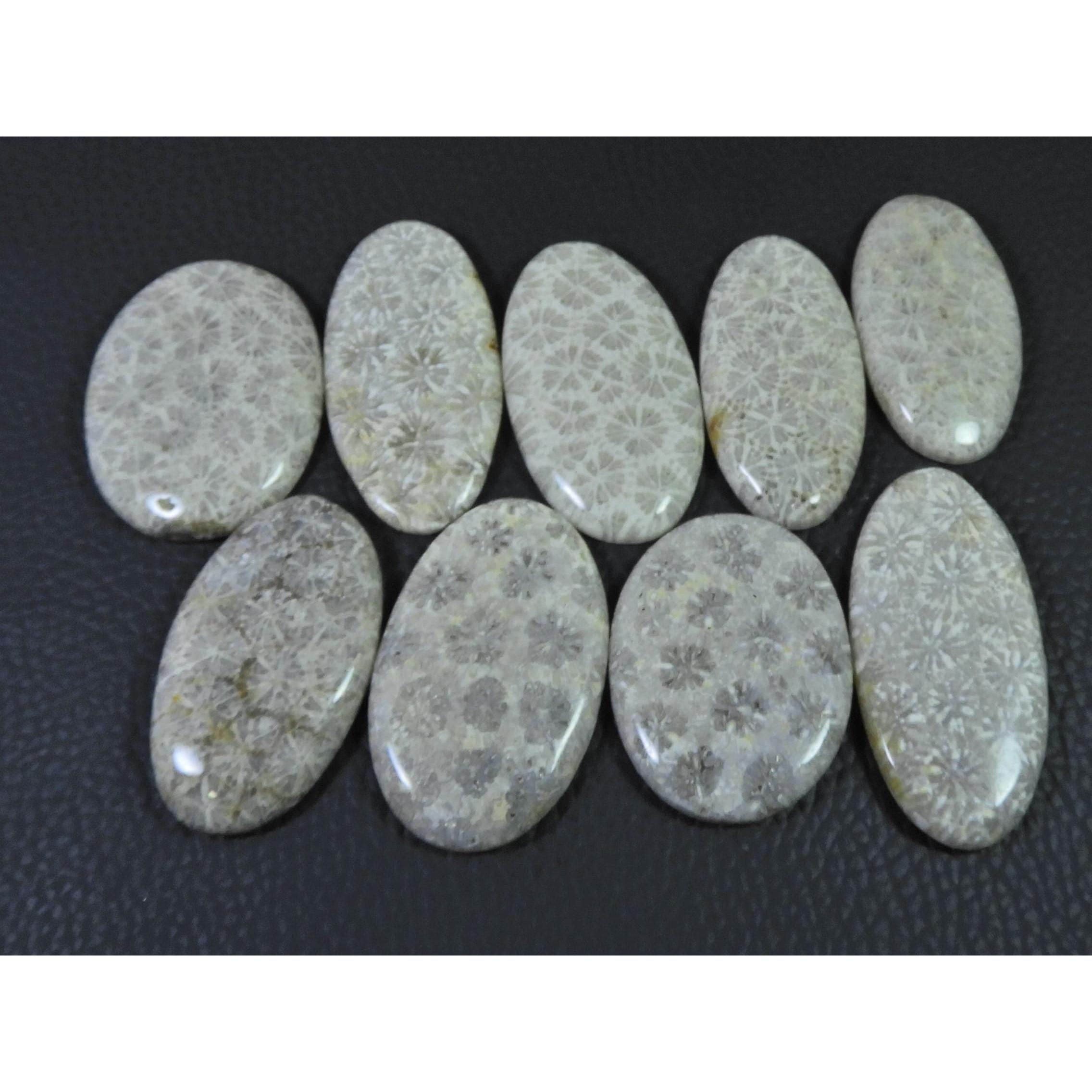 320Cts. Natural Fossil Coral Oval Cabochon Loose Gemstone 9Pcs Lot C-1892