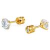 Women Gold Tone Titanium Steel Round Clear Zircon Screw Back Stud Earrings