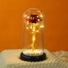 Mother's Day Gift Glass Cover Eternal Flower for Mother To Keep Long Carnation Night Light Tabletop Ornament