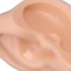 Doll Ears Plastic/ Reusable/ Dolls Accessories /Toy for Rbl /Makeup