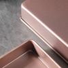 Champagne Square Baking Pan Nonstick Toaster Oven Dishes Cookie Tray Pizza Baking Tray  Home