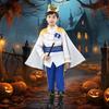 Formemory Halloween Cosplay Prince Costume for Boys, Includes Wand, Cape, and Crown, Perfect for Parties, Stage Performances, Recitals, Cultural