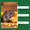 Köderpellets für Mäuse und Ratten, Bällchen für den Innen- und Außenbereich