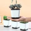 5 Stück Selbstbewässernder Blumentopf, Blumenpflanzgefäße, Moderne Blumentöpfe mit Wasserreservoir, Mini-Blumentöpfe Kräutergarten-Pflanzgefäß